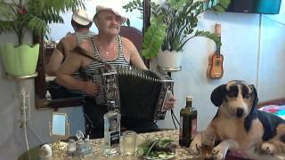 Частушки под гармонь  Куплеты под гармонь  Играй гармонь