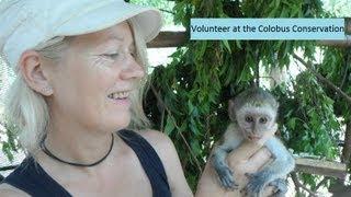 Volunteer with monkeys  - Eco Volunteer - Ann