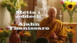 Metta i oddech - medytacja prowadzona - Ajahn Thanissaro [LEKTOR PL]