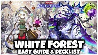 WHITE FOREST | EASY GUIDE & DECKLIST!