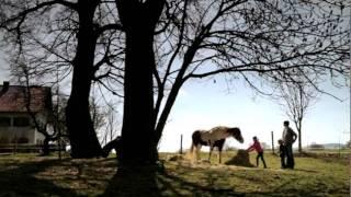 Solar-Energie, Wind-, Wasserkraft: Werbespot für die VR-Banken (c) telefilm Filmproduktion