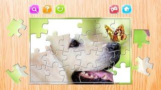 Relax Jigsaw Puzzles Android Gameplay | lets play | Puzzle Game For Android |   HotShot Gamerz