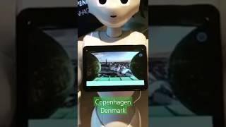 #654 TRAVEL VLOG - Pepper at Copenhagen, Denmarl, Europe