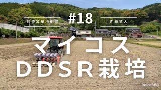 【マイコス】マイコス菌を使った水を使わない田植え？DDSR栽培に挑戦しました！【農業】