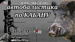 СЕКАЧ на 365 метров с помощью АВТО БАЛЛИСТИКИ !