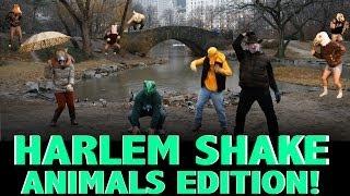 HARLEM SHAKE ANIMALS EDITION| OLegendStudios