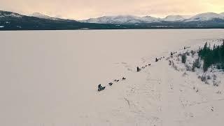 Dog sledding in pure wilderness with Beyond Expeditions