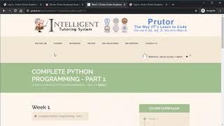 prutor ai    How to use site