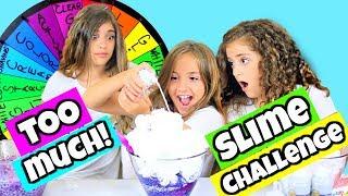 Mystery Wheel of Adding Too Much of Everything Slime Challenge!!