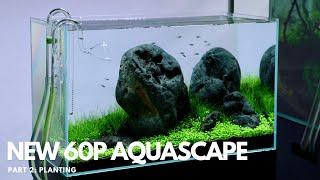 New 60P Aquascape! Part 2 - Planting