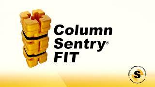 Column Sentry Fit sambakaitse