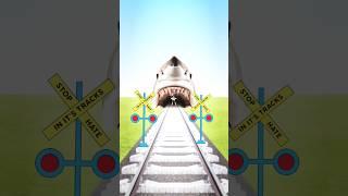 Railroad crossing and Shark #railroadcrossing #踏切 #viralvideo #train #animation