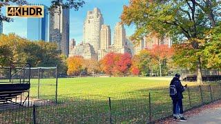 Central Park Virtual walk Manhattan Fall Foliage New York 4K Walking Through Central Park (Nov-2021)