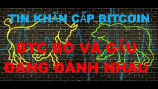 Tin Tức Khẩn Cấp Bitcoin , BTC BÒ VÀ GẤU ĐANG ĐÁNH NHAU