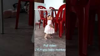 baby monkey Lyly waits mom to come back