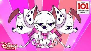 Diva Pups | 101 Dalmatian Street | Disney Channel Africa