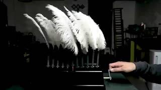 Feather Automaton