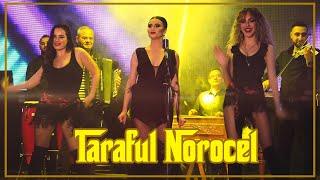 Taraful NOROCEL & PAULA - Formatie Evenimente | NEW PROJECT 2022