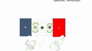 Principle of DC Motors