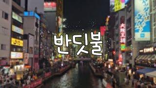 이제야 올리는 반딧불(도영) - cover. 연비 (feat. 일본 여행)