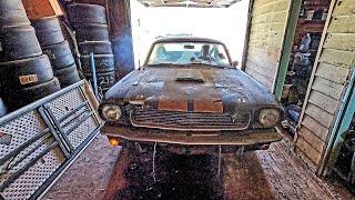 1966 Shelby Mustang Barn Find & Historic Factory Ford Race Car Uncovered