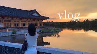 Vlog | 공무원 직장인 브이로그 | 회식이 끊임없던 인사시즌 | 몇 주 만에 온 이유 | 7, 8월  출퇴근 일상 모음