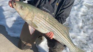 A CHAOTIC Day of Fall Surf Fishing: A Striper Blitz I'll Never Forget