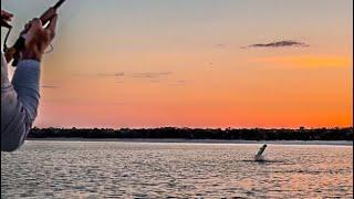 TARPON Fishing On SWFL Beach