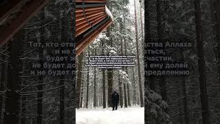 #ислам #истина #религия #коран #аллах #сура