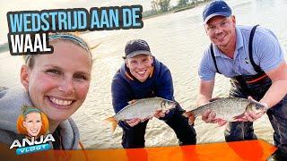 FEEDER VISWEDSTRIJD AAN RIVIER DE WAAL! GIGA WINDE EN BLAUWNEUS!