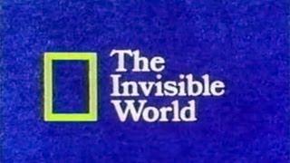 National Geographic- The Invisible World