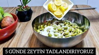 Sadece 5 Günde Yeşil Zeytin Nasıl Tadlanır?