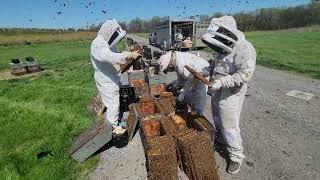 How we make our package bees