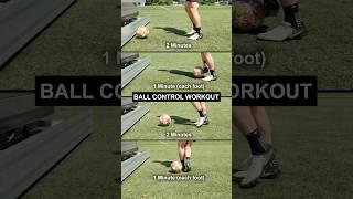 Ball Control Workout