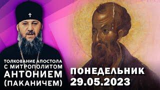 Понедельник, 29 мая 2023 года. Толкование Апостола с митр. Антонием (Паканичем)