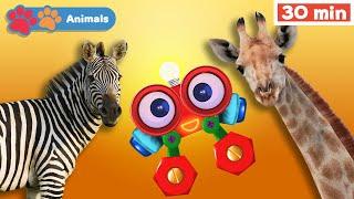 Learn Animals w Robi | Educational Early Learning Videos | Animals Names & Sounds | Zebra & Giraffe