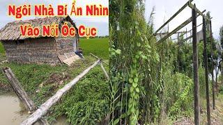 Ngôi Nhà Lá Bí Ấn Nhìn Vào Nổi Óc Cục