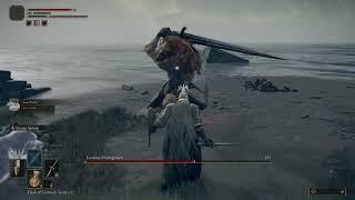 Elden Ring - Leonine Misbegotten - Boss Fight