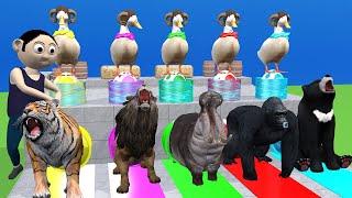Paint & Animals - Tiger, Lion, Hippo, Monkey, Bear, Fountain Crossing Transformation Animals Cartoon
