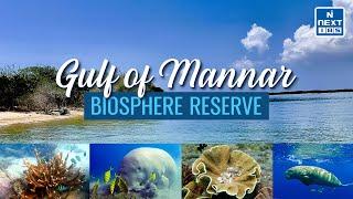 Biosphere Reserves in India (Through Animation) - Gulf of Mannar | UPSC CSE | NEXT IAS #environment