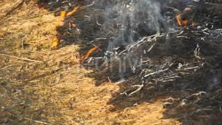 Footage - Burning Grass Steppe