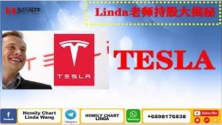 Linda老师持股大揭秘之TESLA篇