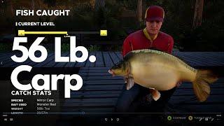 Fishing Sim World - Rhine Valley Championship Round 2 - Waldsee Germany - Carp