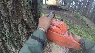 TALL Fir. Husqvarna 2100 CD Savin' The Day!!!