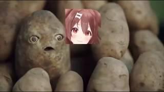 x potato