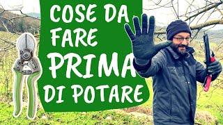 POTATURA: 5 cose da fare PRIMA di tagliare rami