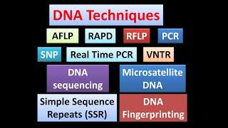 #DNATechniques#AFLP#RAPD#RFLP#SSR#VNTR#SNP#DNAFingerprinting#PCR#RealTimePCR#DNAsequencing#sanger