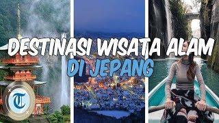 8 Tempat Wisata Alam di Jepang yang Populer di Kalangan Traveler