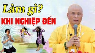 Khi ÁC NGHIỆP đến, phải làm gì? - Thầy Thích Giác Nhàn