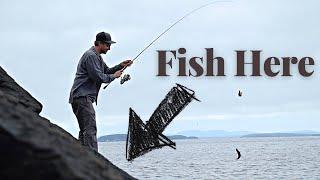 Easiest Fish to Catch on the ROCKY COAST of MAINE | There Were Thousands of Fish Here!